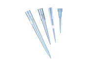 【yasugo83様用】 グッチ G-タイムレス アリゲーターレザー ユニセックス