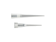 フィルターチップ