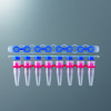 AlphaGem Bio　PCR用8連チューブ／8連キャップ／シングルチューブ